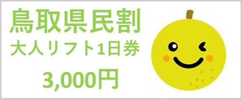 鳥取県民割 大人リフト1日券 3,000円
