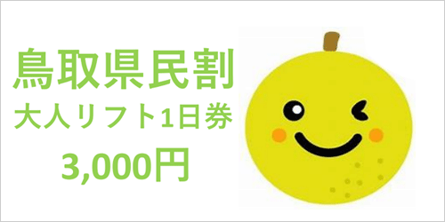 鳥取県民割 大人リフト1日券 3,000円